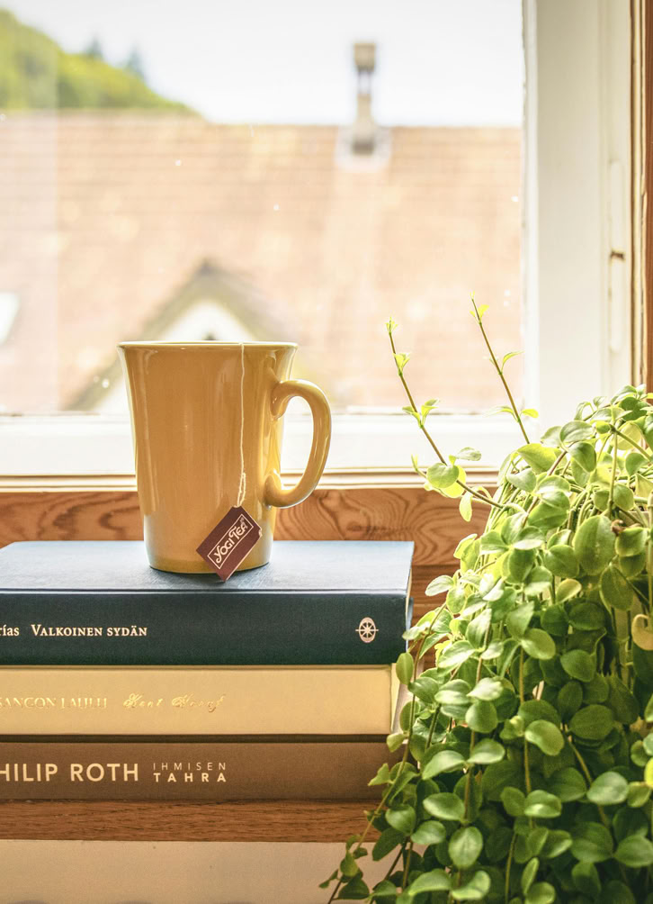 Grünblättrige Pflanze Neben Büchern Und Becher